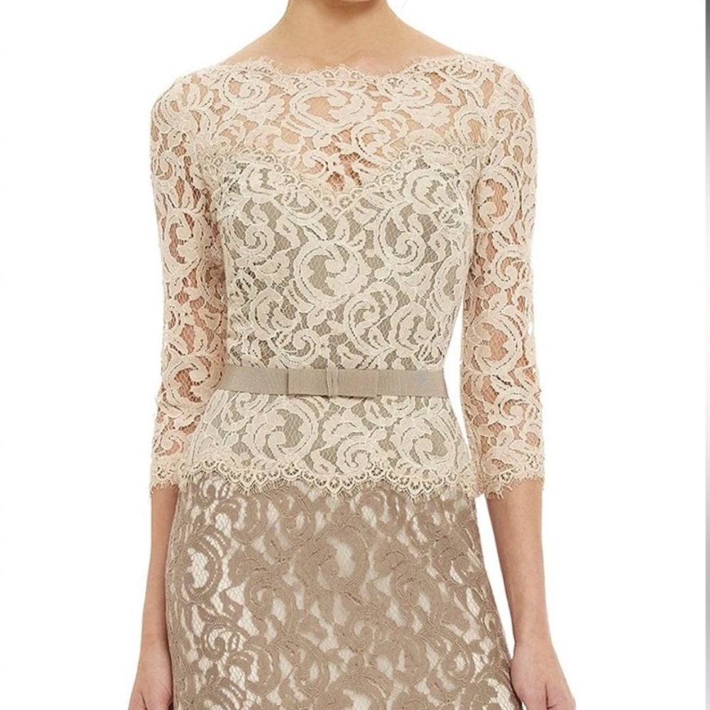 Tadashi Shoji Lace Formal 10P